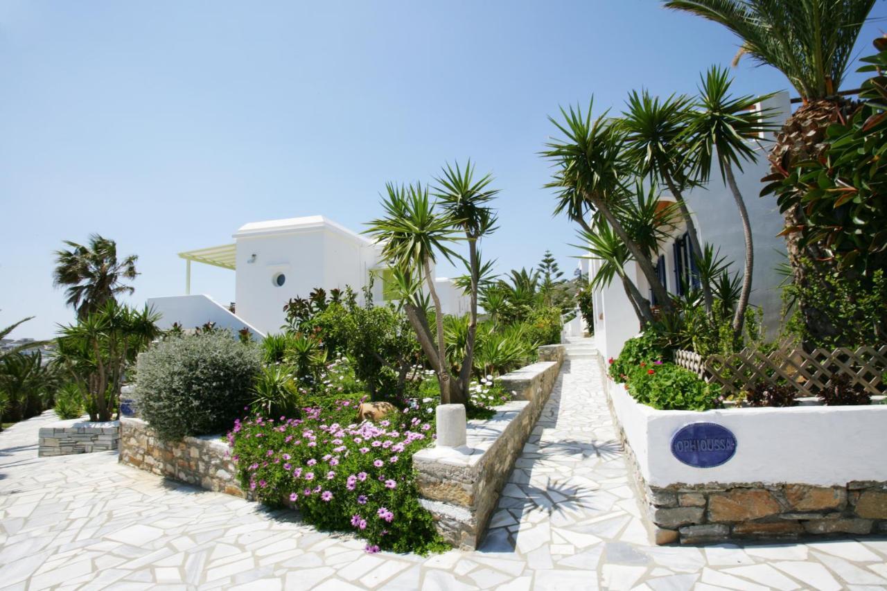 Porto Raphael Residences & Suites Agios Ioannis  Dış mekan fotoğraf